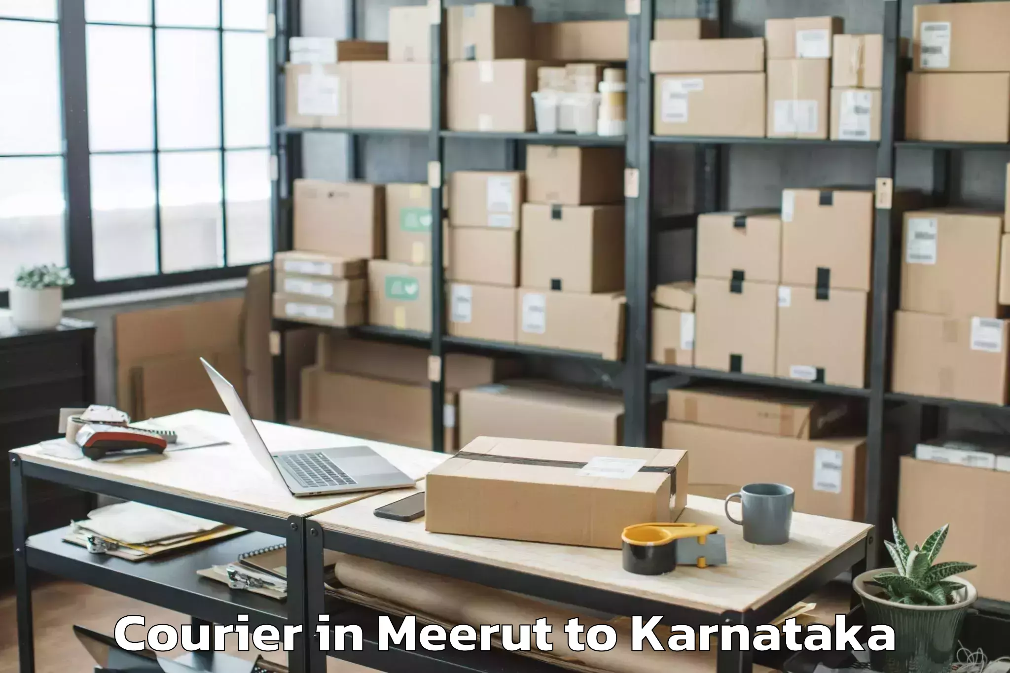 Leading Meerut to Bellur Courier Provider